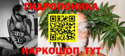 гашик Лесосибирск