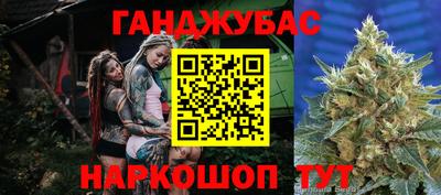 гашик Ливны