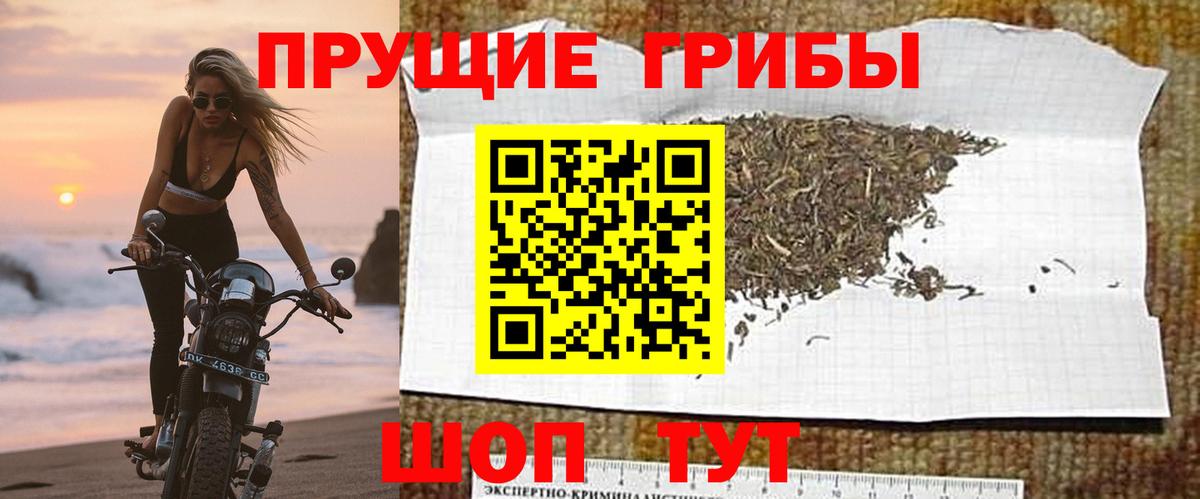 Галлюциногенные грибы ЛСД Северодвинск
